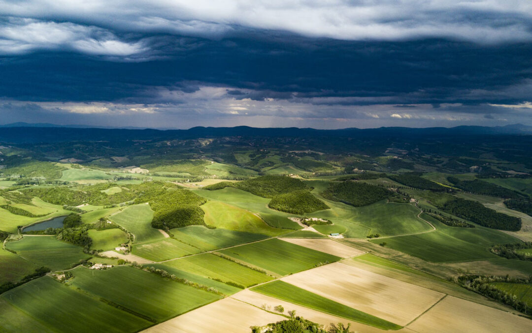 Die Bedeutung von Diversifikation in Anlageklassen
